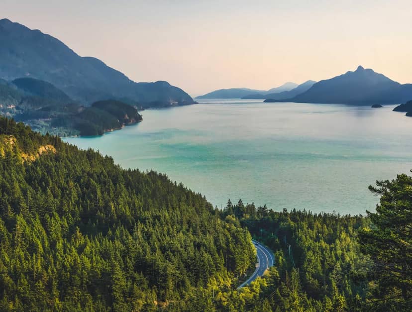 Unauth title UWFdMUJd